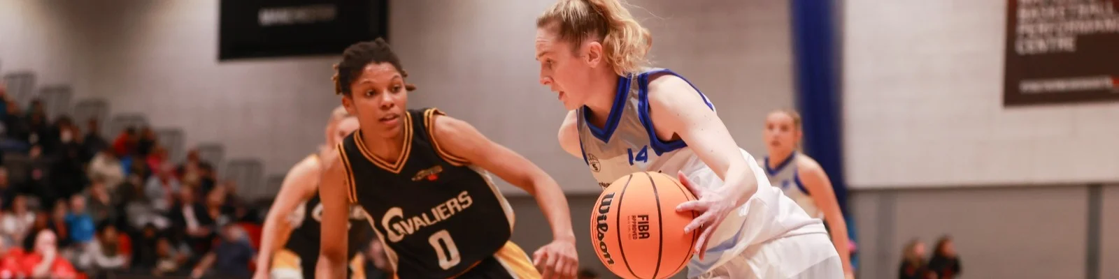 Basketball England Banner