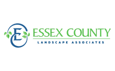 Essex County Landscape